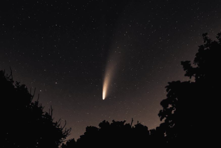 Cometa atravessando o céu estrelado com cauda brilhante, visto entre silhuetas de árvores