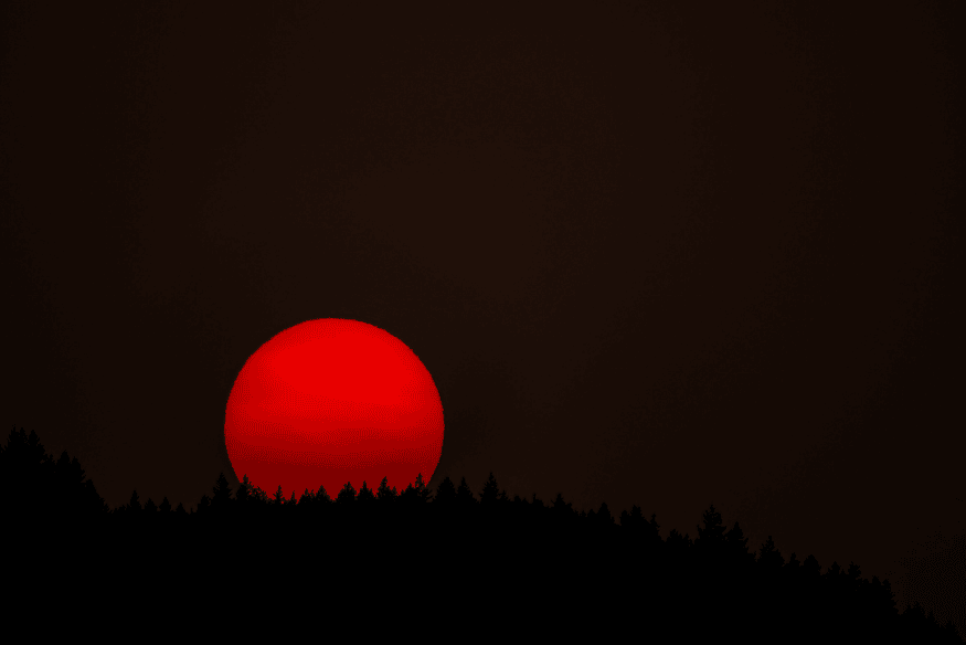 Lua vermelha no horizonte durante um eclipse lunar total, vista acima da silhueta de árvores.