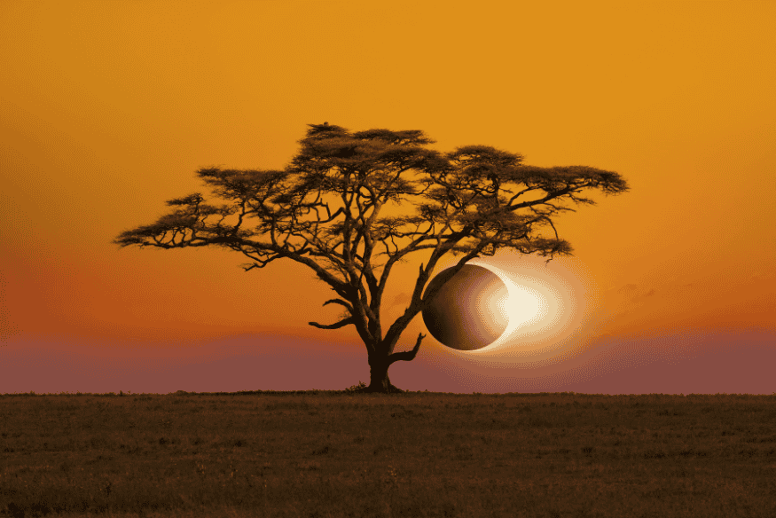 Eclipse solar parcial ao entardecer, visto atrás de uma árvore solitária em uma paisagem africana.