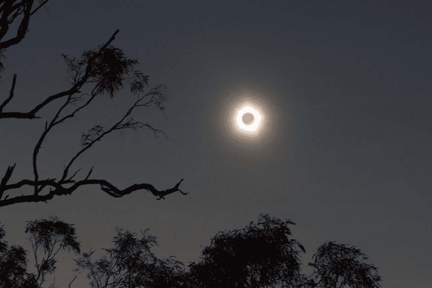 Eclipse solar total visível no céu ao entardecer com silhuetas de árvores em primeiro plano.