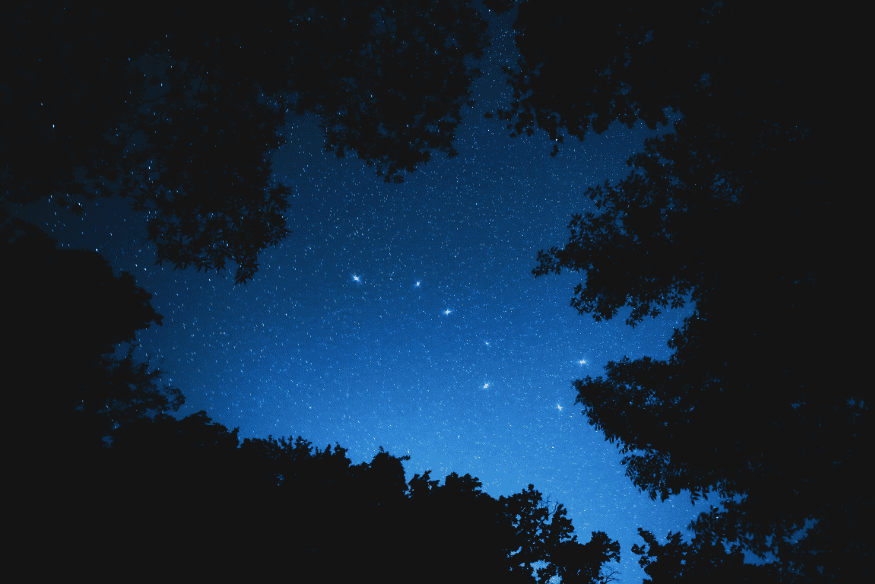 Constelações visíveis entre copas de árvores em céu noturno azul.