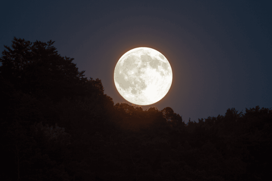 Lua cheia surgindo no céu atrás de uma floresta ao anoitecer